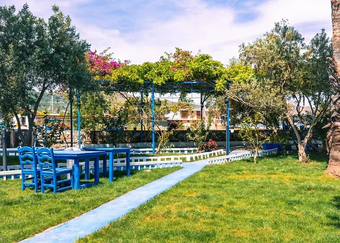 Deniz Yildizi Selimiye Marmaris